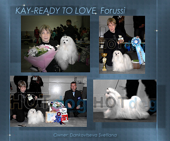  Kay-Ready To Love Forussi